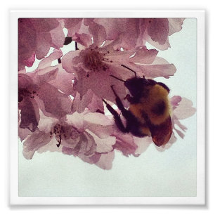 Impression Photo Abeille d'aquarelle