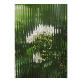 Impression Photo  Abstract White Flowers through Reeded Glass 
