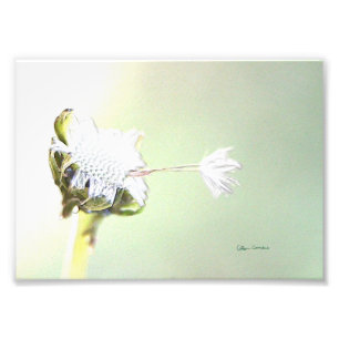 Impression Photo Accrochez-vous - relief faux