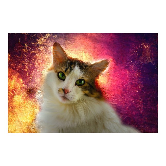 Impression Photo Adorable Cute Calico Chat (Devant)