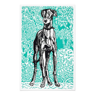 Impression Photo Affiche d'art Greyhound de Moriz Jung Vienne Séces