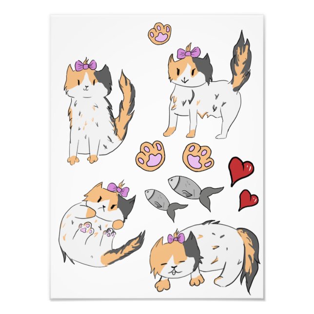 Impression Photo affiche de chaton (Devant)