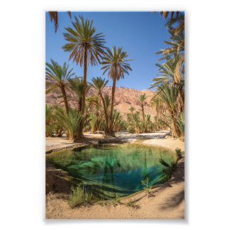 Impression Photo affiche de l'oasis de marrakech