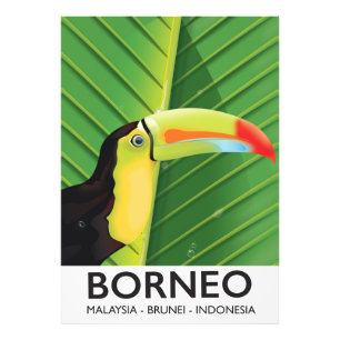Impression Photo Affiche de voyage Toucan de Bornéo