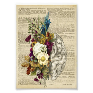 Impression Photo affiche médicale florale d'anatomie du cerveau