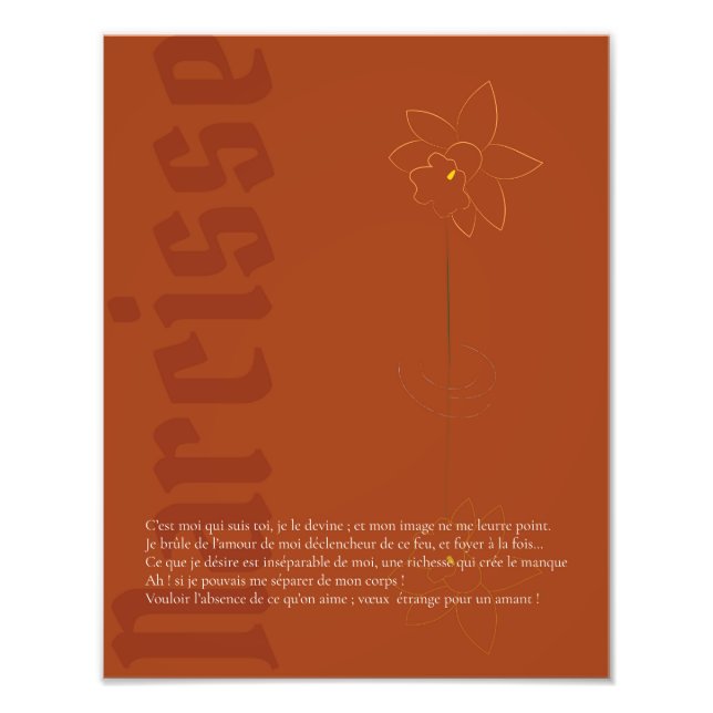 Impression Photo Affiche Narcisse (Devant)