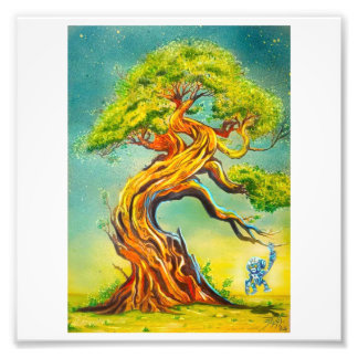 Impression Photo Affiche nature