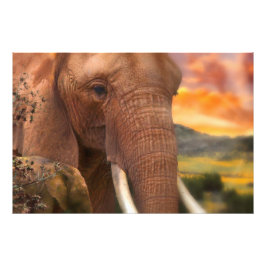 Impression Photo Africa Elephant JE SENS VOTRE COEUR