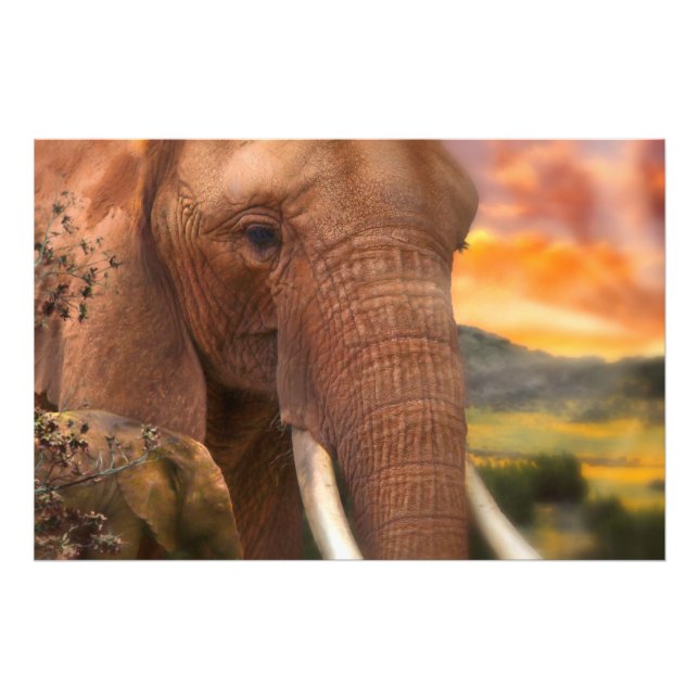 Impression Photo Africa Elephant JE SENS VOTRE COEUR (Devant)