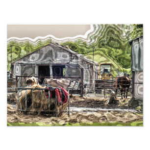 IMPRESSION PHOTO AGRICULTURE