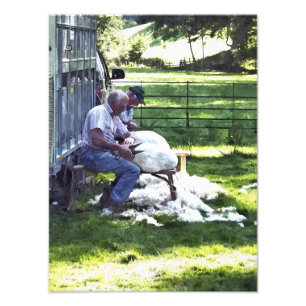 IMPRESSION PHOTO AGRICULTURE