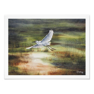 Impression Photo Aigrette blanche aquarelle