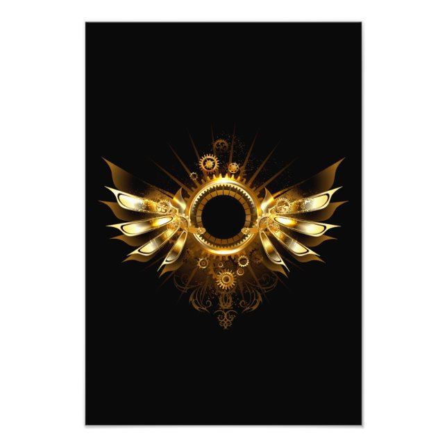 Impression Photo Ailes steampunk (Devant)
