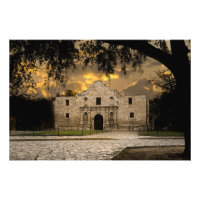 Impression photo Alamo