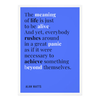 Impression Photo Alan Watts - Le sens de la vie