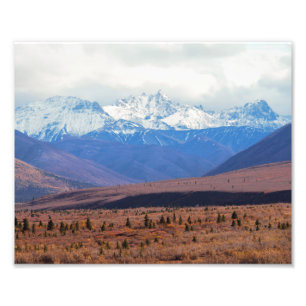 Impression Photo Alaska, Snowy Mountains, Fall Foothills, Denali