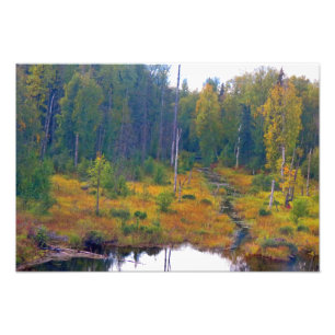 Impression Photo Alaskan Adventure - Paysage #6