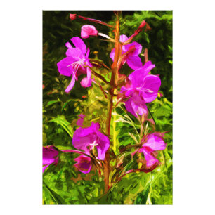 Impression Photo Alaskan Fireweed Fleur sauvage rose Abstrait