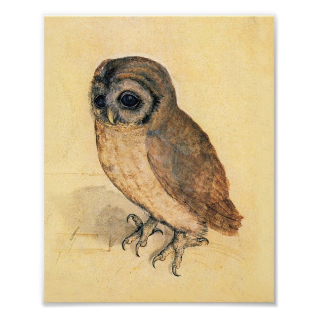 Impression Photo Albrecht Durer La Petite Chouette (Devant)