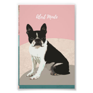 Impression Photo Alert Boston Terrier Dog | Boston Terrier Lover