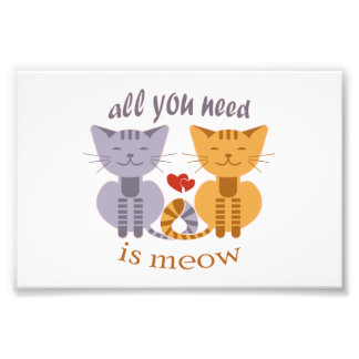 Impression Photo All you need is meow Valentine cats