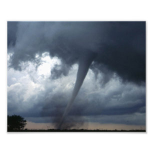 Impression Photo Allée des tornades