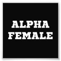 Alpha femelle