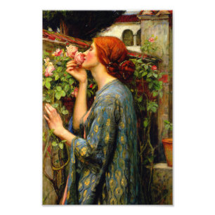 Impression Photo Âme de la rose John William Waterhouse
