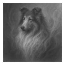 Âme Douce — Portrait de Collie par GeoWild Designs