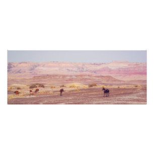Impression Photo American Desert Horses P8670