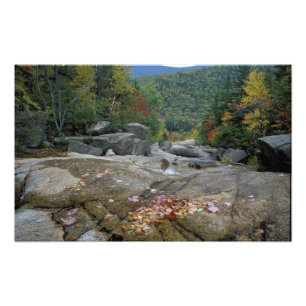 Impression Photo Amérique du Nord, États-Unis, NH, Feuillage d'auto