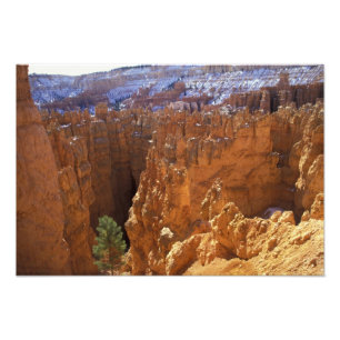 Impression Photo Amérique du Nord, États-Unis, Utah, Bryce Canyon 2