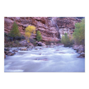 Impression Photo Amérique du Nord, États-Unis, Utah, Zion Nationa