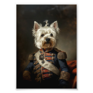 Impression Photo Amiral West Highland Terrier