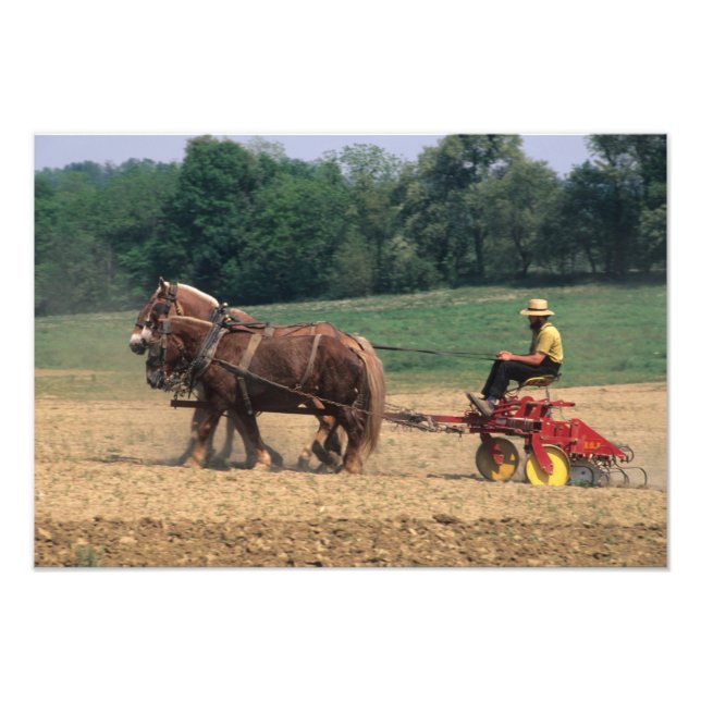 Impression Photo Amish Pays simples gens dans l'agriculture avec (Devant)