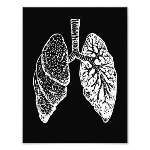 Impression Photo Anatomie humaine, poumons noir et blanc