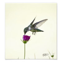 Angel en vol Art photographique