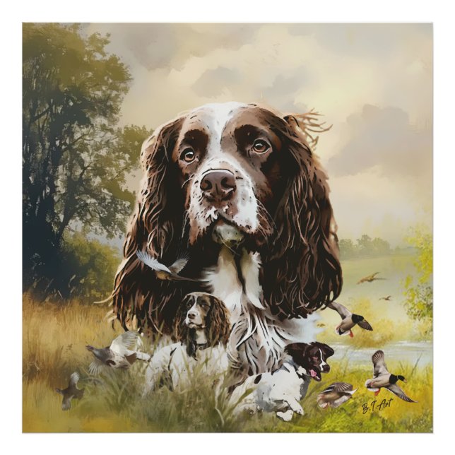 Impression Photo Anglais Springer Spaniel (Devant)