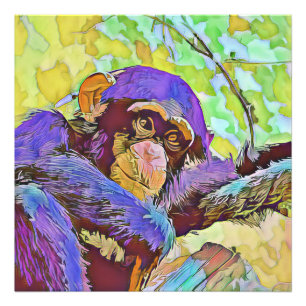 Impression Photo animal smartmix - chimpanzé 3