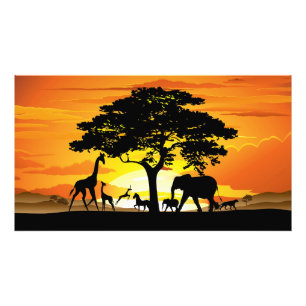 Impression Photo Animaux sauvages sur le coucher de soleil de la sa
