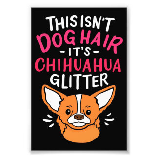 Impression Photo Animaux Toile Mur Art Chihuahua Chig