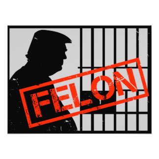 Impression Photo Anti Trump Félin Condamné 20-24 Ans de Prison