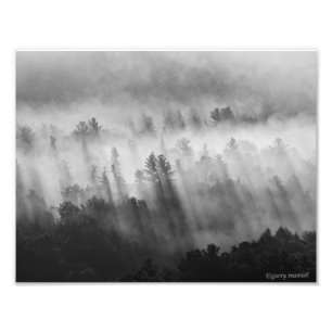 Impression Photo Après la pluie - Tôt le matin dans les Adirondacks