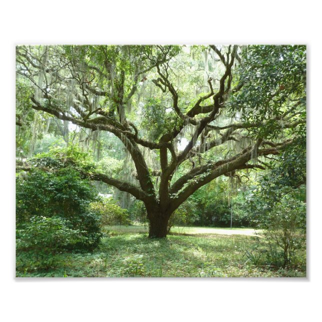 Impression Photo Après-midi d'été de Bluffton (Devant)