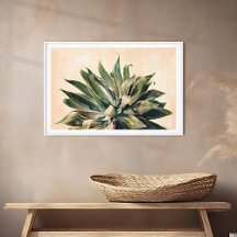 Aquarelle Agave Peinture Sud-Ouest Sage Vert
