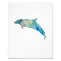 Aquarelle couleur dauphin