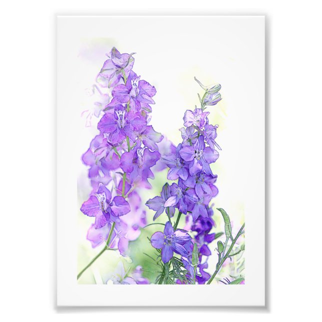 Impression Photo Aquarelle Delphiniums (Devant)