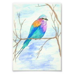 Impression Photo Aquarelle d'oiseau Art Lilac Roulon à poitrine da