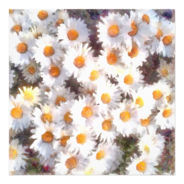 Impression Photo Aquarelle du Fleur sauvage de marguerite (Devant)