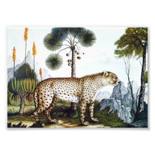 Impression Photo Aquarelle d'un guépard (Zotl)